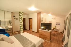 TV a/nebo společenská místnost v ubytování Korzo apartmani