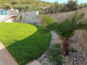 Zahrada ubytování Apartments Kiara