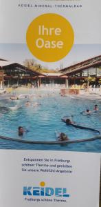 a brochure of a swimming pool with people in it at Ferienwohnung Wölfle in Friesenheim