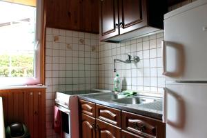 Kuchyň nebo kuchyňský kout v ubytování Rowianka + 21 fotografií
