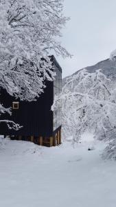 拉斯特朗卡斯Andrómeda Lodge的雪中小屋,有雪覆盖的树木