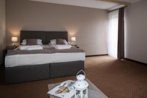 um quarto de hotel com uma cama grande e uma mesa com um robô em Ania Apartamenty em Chochołów