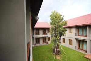 a tree in the yard of a building at Chu Hotel in Chiang Mai