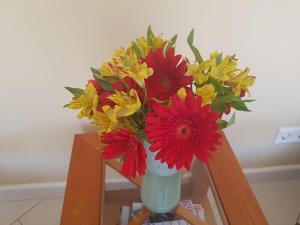 Foto sihtkohas Willemstad asuva majutusasutuse Spectacular Furnished Studio galeriist