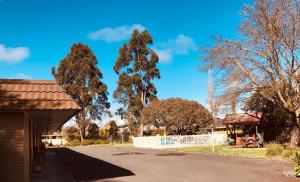 two tall trees in a yard with a fence at Alfred Motor Inn in Ballarat