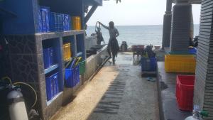 a man standing on a wall next to the ocean at Matahari Tulamben Resort, Dive & SPA in Tulamben