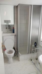 uma casa de banho com um WC, um chuveiro e um lavatório. em Alter Markt LOFT em Salzburgo