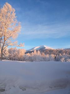 Gallery image of Niseko Guesthouse Nalu. in Niseko +43 photos