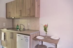 a small kitchen with a sink and a dishwasher at Villa Anneta in Vitalades