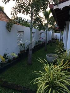Zahrada ubytování Sunrise Palace Negombo