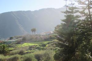 a view of a mountain with palm trees on a hill at Casa Laura in La Orotava