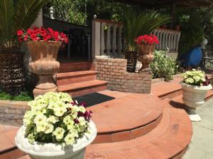Zahrada ubytování B&B Primerano SP73