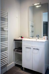 ein Badezimmer mit einem weißen Waschbecken und einem Spiegel in der Unterkunft Le Relais Du Petit Lion in Blois