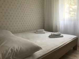 Fotografia z galérie ubytovania Golden Apartament Proletariacka v destinácii Białystok