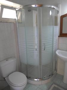 y baño con ducha, aseo y lavamanos. en Hotel Villa Basil, en Tsilivi