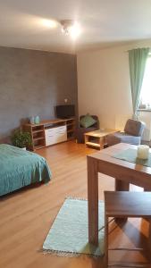 Posezení v ubytování Apartmán Železná Ruda