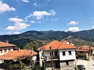 邁措翁的住宿－Hotel Acropolis Metsovo，一组以山为背景的房屋