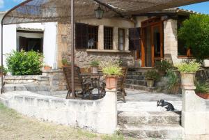 A garden outside Can Petrel
