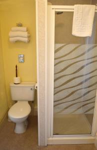 a bathroom with a toilet and a shower at Victoria Lodge Guest House in Salisbury
