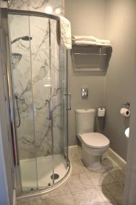 a bathroom with a shower and a toilet at Victoria Lodge Guest House in Salisbury