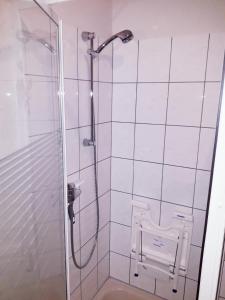 a bathroom with a shower with a toilet in it at Ferienwohnung Adams in Hinterweiler