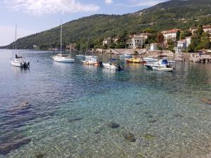 Nuotrauka iš apgyvendinimo įstaigos Flora Lovrane galerijos dar 35 nuotraukos