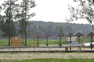 un gruppo di panchine e ombrelloni in un parco di Nester House a Svityazʼ