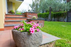 A garden outside Sicily's View