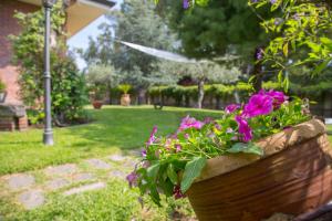 A garden outside Sicily's View