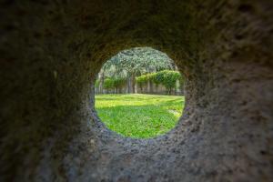 A garden outside Sicily's View