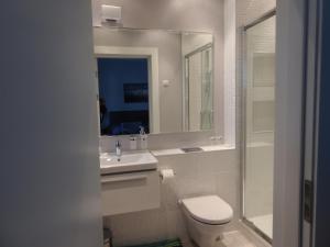 een badkamer met een toilet, een wastafel en een spiegel bij Vienibas prospekts 6 in Jūrmala