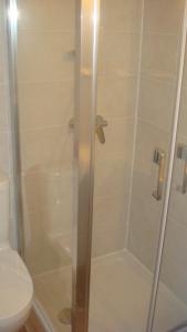 eine Dusche mit Glastür neben einem WC in der Unterkunft Le FLORIDA in Zicavo