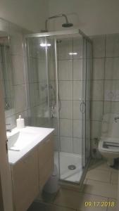 een badkamer met een douche, een wastafel en een toilet bij B&B Madau in Samughèo