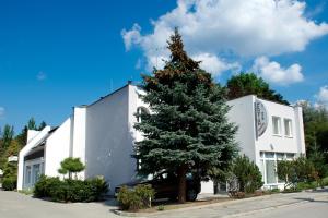 a christmas tree in front of a white building at Penzion FORMULA in Trenčín