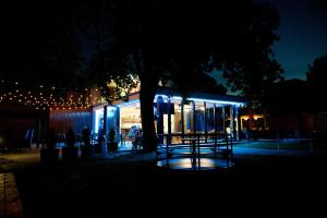 a tree in front of a building at night at Penzion FORMULA in Trenčín