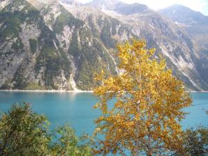 Paesaggio naturale nelle vicinanze dell'appartamento