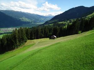 Paesaggio naturale nelle vicinanze dell'appartamento