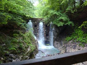 Paesaggio naturale nelle vicinanze dell'appartamento