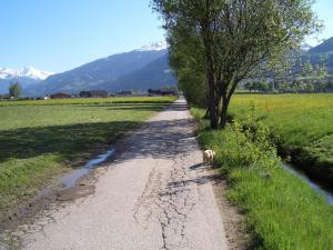 Paesaggio naturale nelle vicinanze dell'appartamento