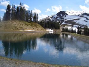 Paesaggio naturale nelle vicinanze dell'appartamento