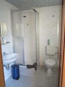 a bathroom with a shower and a toilet and a sink at Ferienwohnung Kühnel in Pfaffendorf