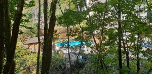 a view of a swimming pool through the trees at Hotel Elfenmühle in Bad Bertrich
