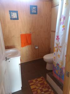 a bathroom with a toilet and a shower curtain at Las 2 Golondrinas in El Quisco +21 photos