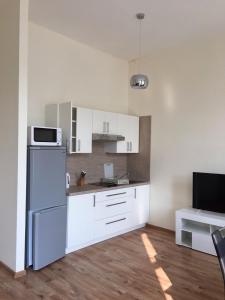 Fotografie z fotogalerie ubytování MVA House Teplice, Šanovský park v destinaci Teplice