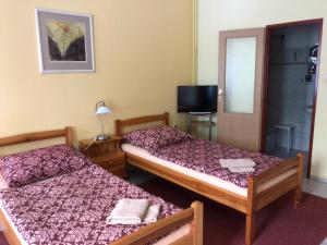 Ένα ή περισσότερα κρεβάτια σε δωμάτιο στο Guest House U Náhonu