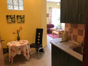 une cuisine avec une table et une petite table avec une chaise dans l'établissement Guest House U Náhonu, à Chrudim