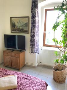 a living room with a flat screen tv and a window at Guest House U Náhonu in Chrudim