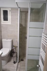 een badkamer met een toilet en een glazen douchedeur bij ATHENS *BLUE GRAND SUITE *DI GIORGIO CENTRAL APARTMENT in Athene
