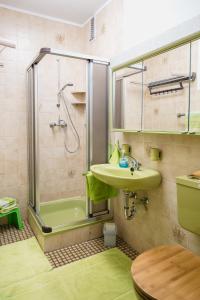 La salle de bains est pourvue d'un lavabo vert et d'une douche. dans l'établissement Ferienwohnung Harzblick, à Lautenthal