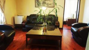 een woonkamer met een bank en een tafel met een plant bij Fang Fang Hotel in Kampala